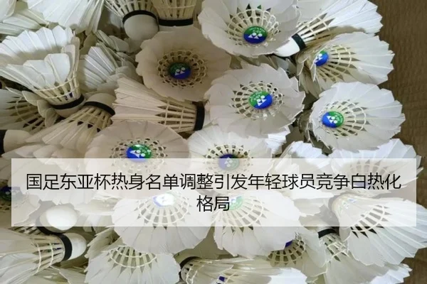 国足东亚杯热身名单调整引发年轻球员竞争白热化格局